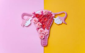 EndometrioseTitel