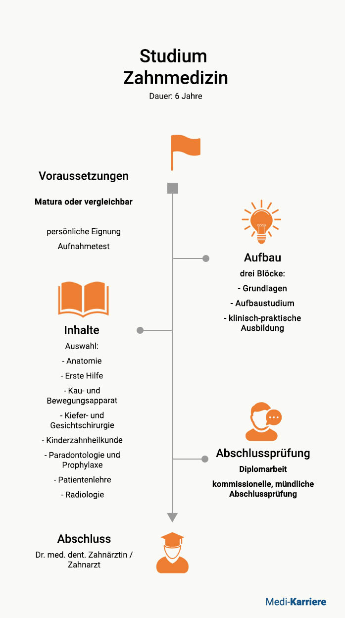 Zahnarzt Studium