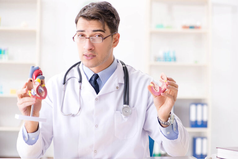 Doctor,Lecturer,Explaining,The,Heart,Model