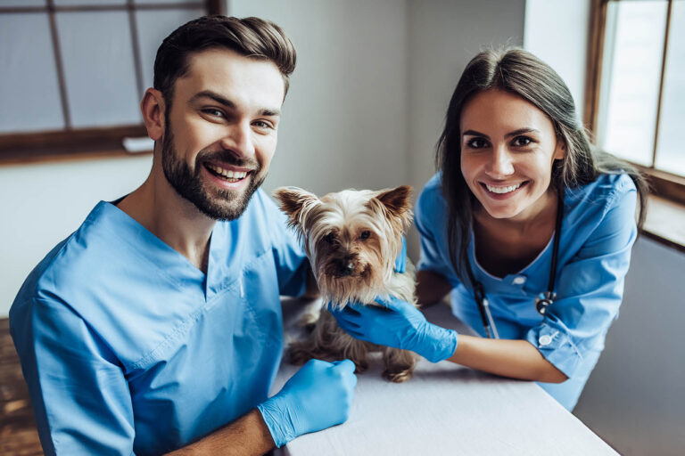 Handsome,Doctor,Veterinarian,And,His,Attractive,Assistant,At,Vet,Clinic