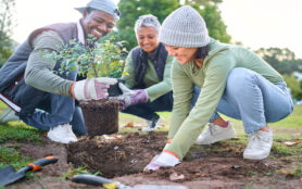 Plants,,Community,Service,And,Volunteering,Group,In,Park,,Garden,And