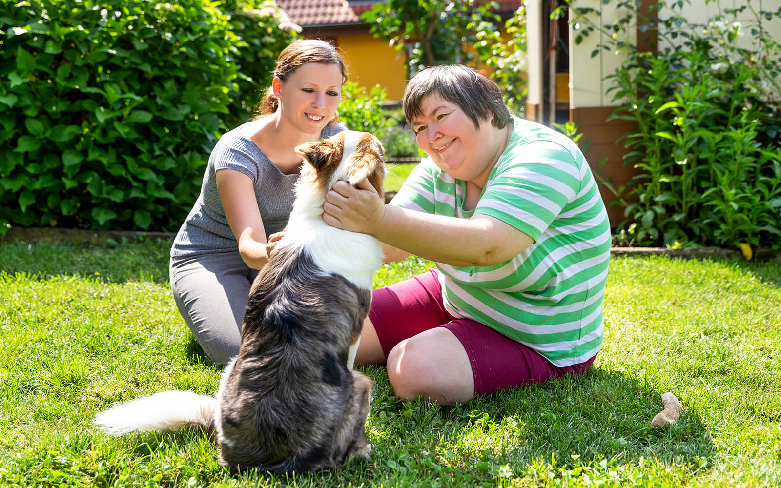 Tiergestützte Therapie – Was ist das?